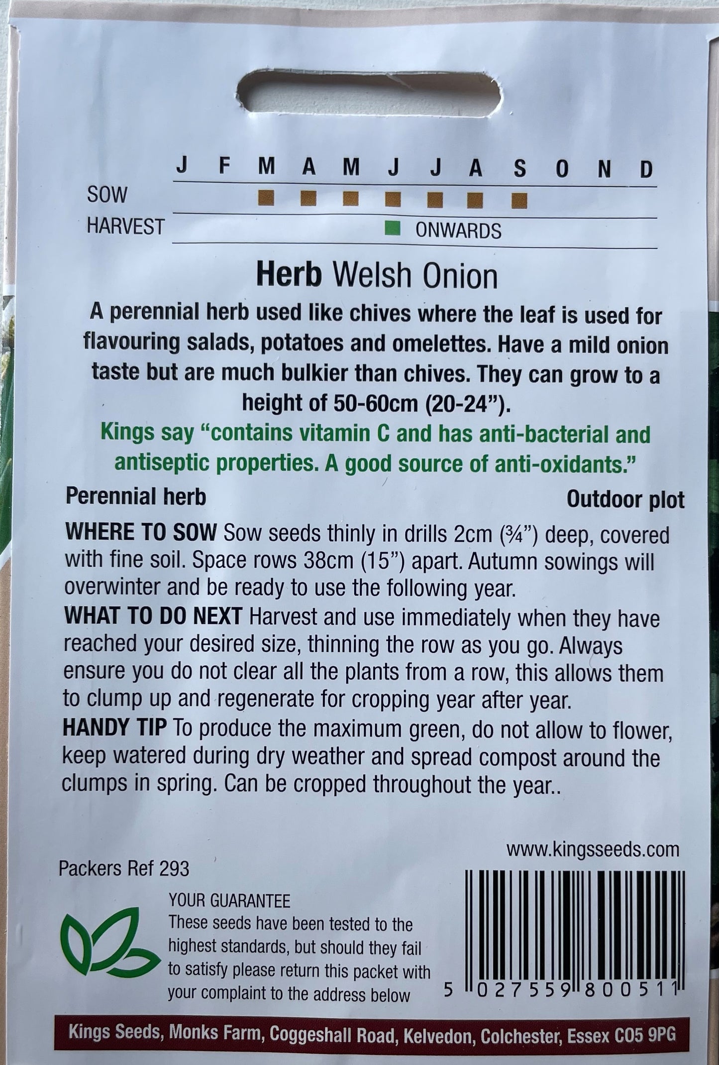 Welsh Onion 250 Seeds