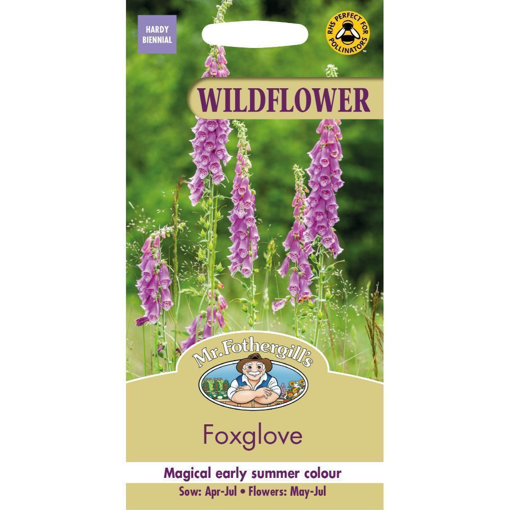 Wildflowers Foxglove 2000 Seeds