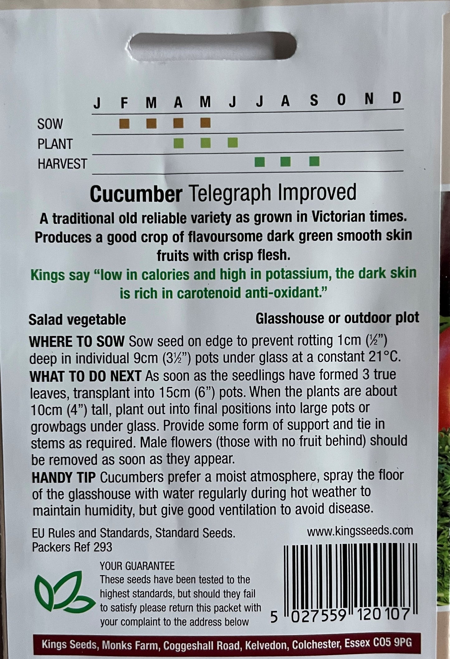 Cucumber Telegraph Improved 15 Seeds