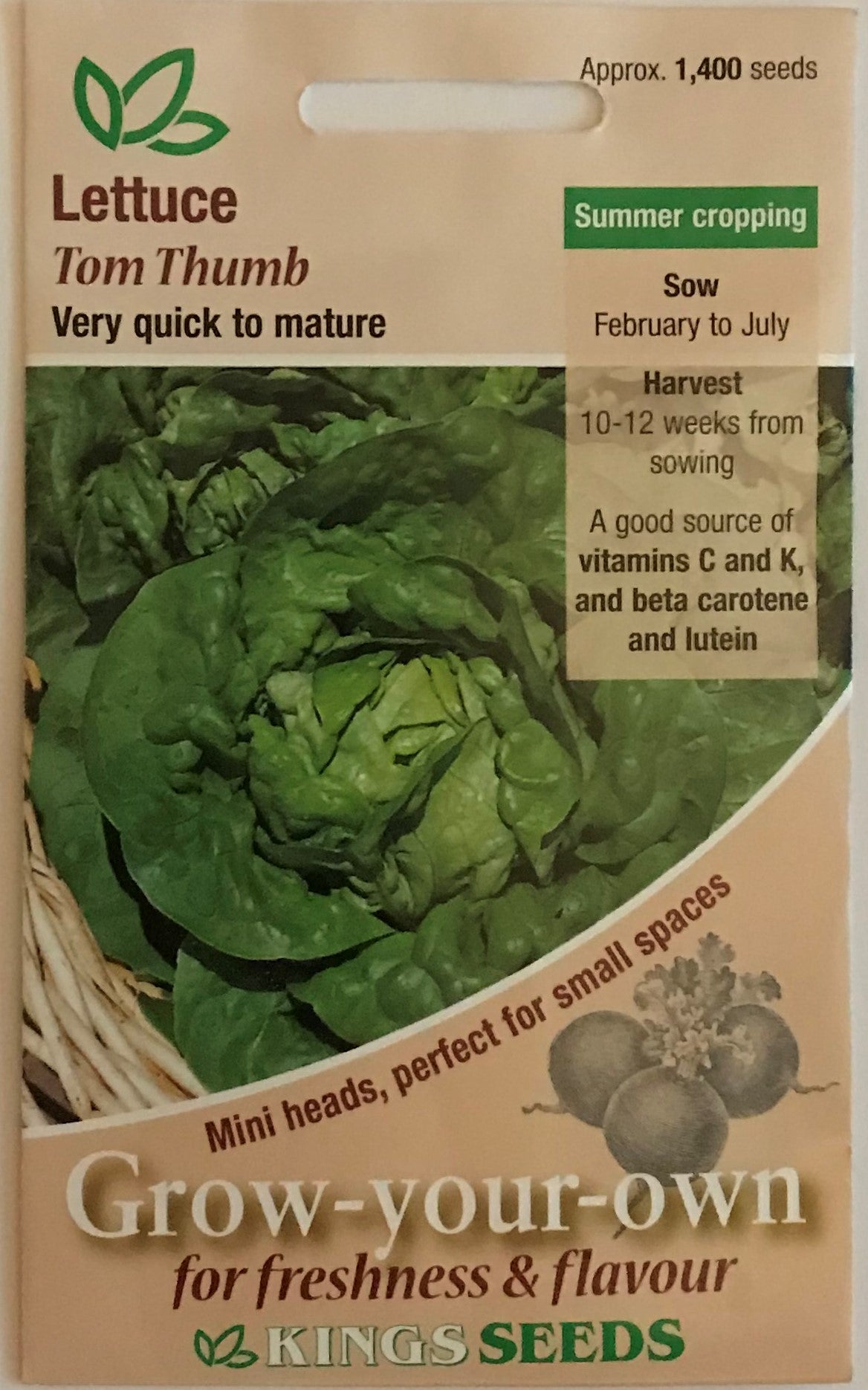 Lettuce Tom Thumb 1400 Seeds