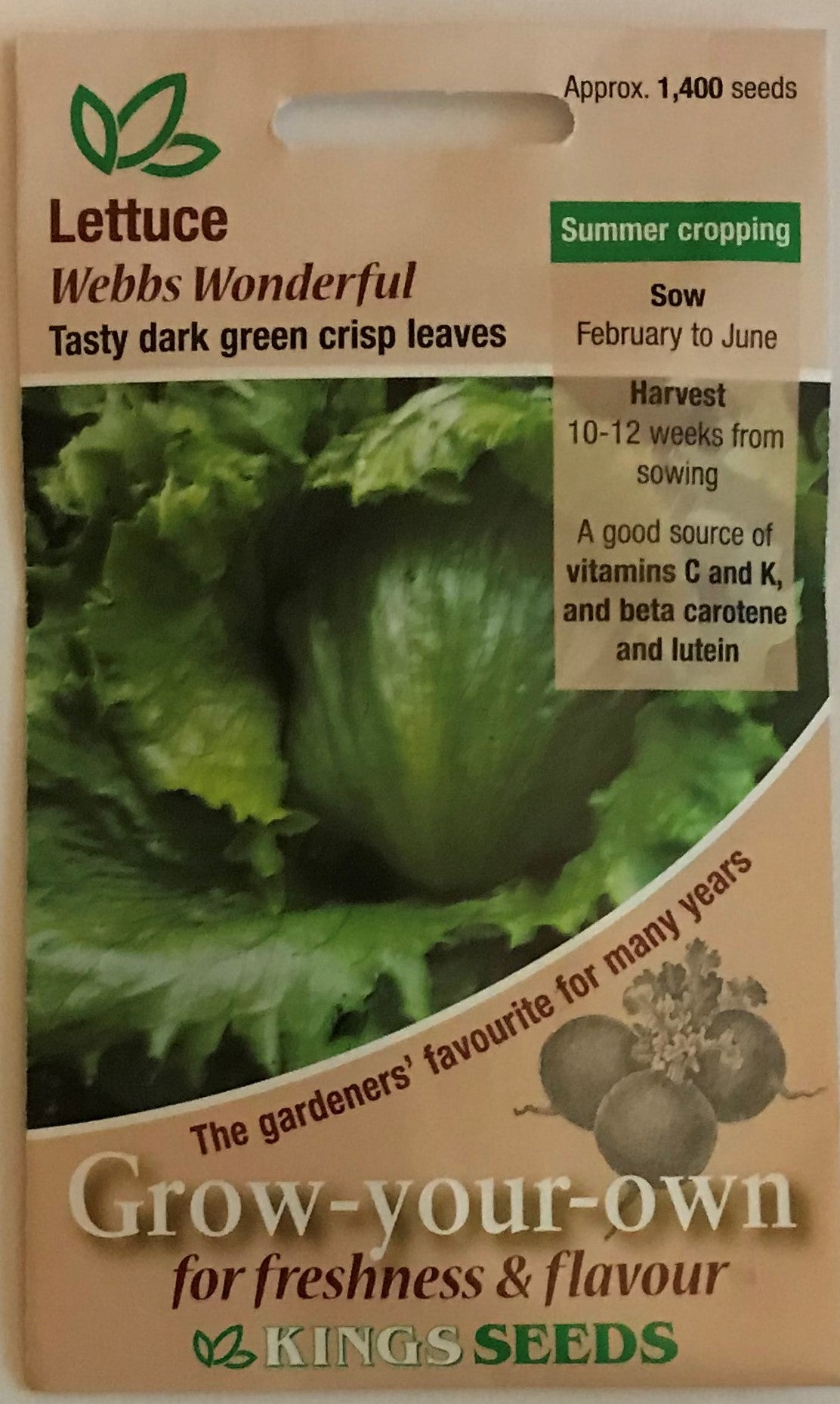 Lettuce Webbs Wonderful 1400 Seeds