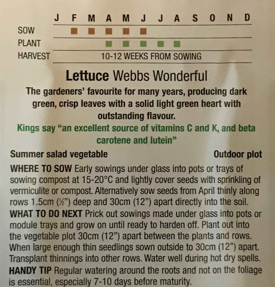 Lettuce Webbs Wonderful 1400 Seeds