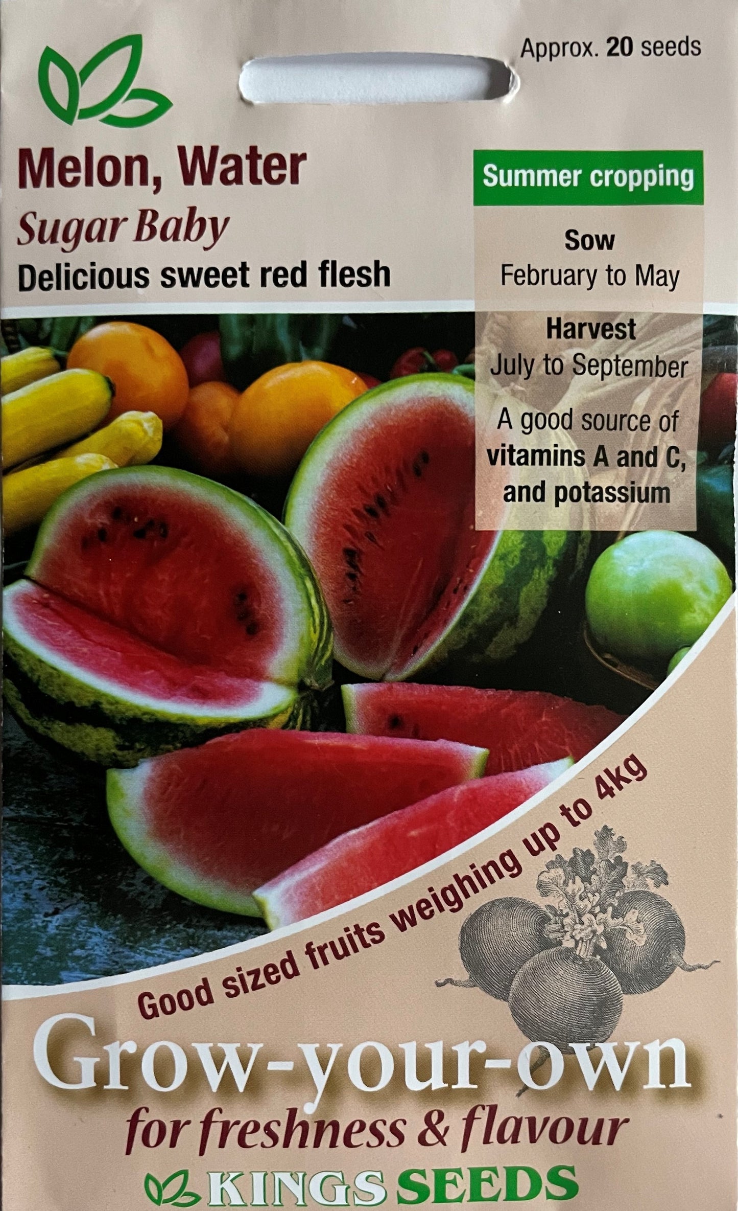 Water Melon Sugar Baby 20 Seeds