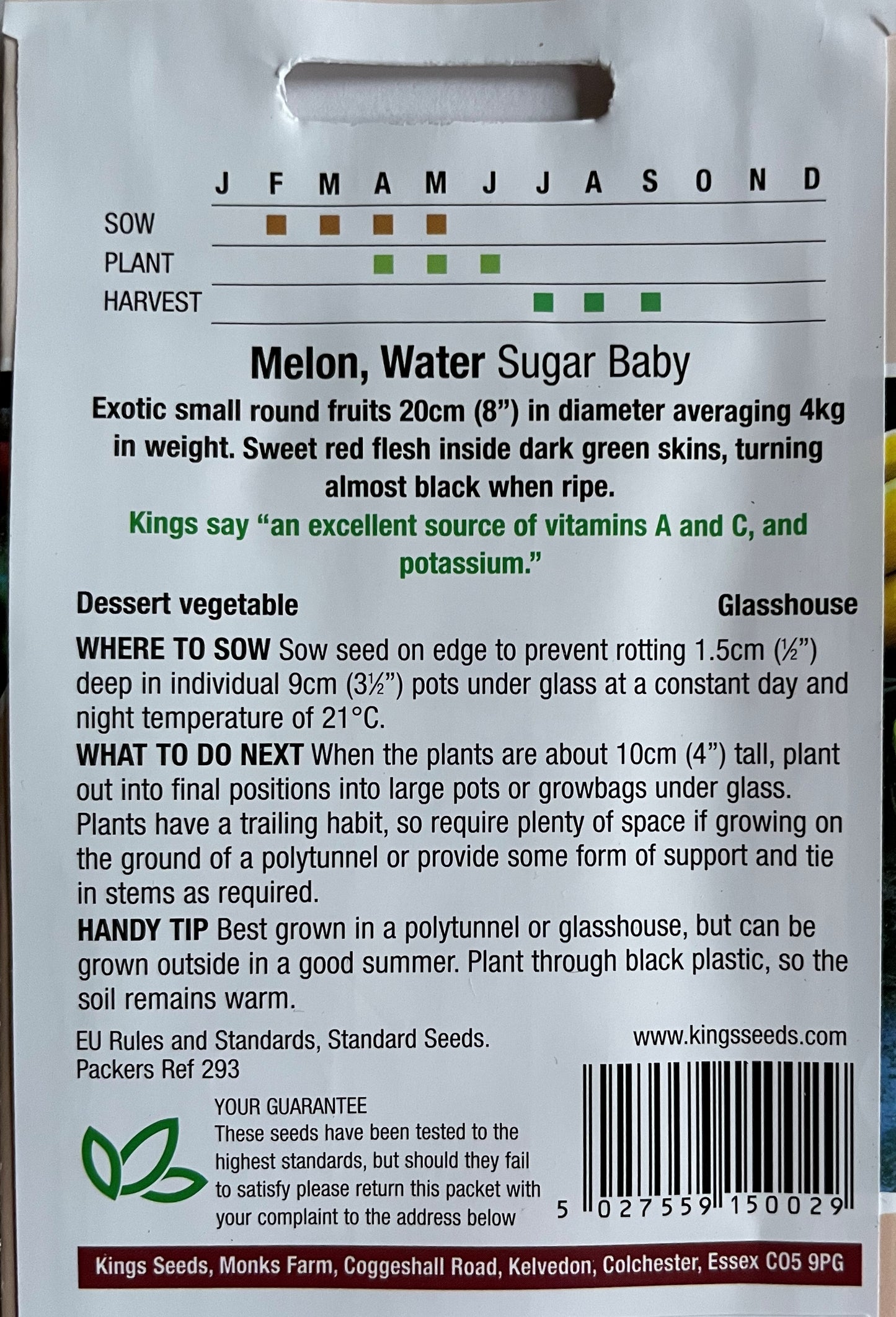 Water Melon Sugar Baby 20 Seeds