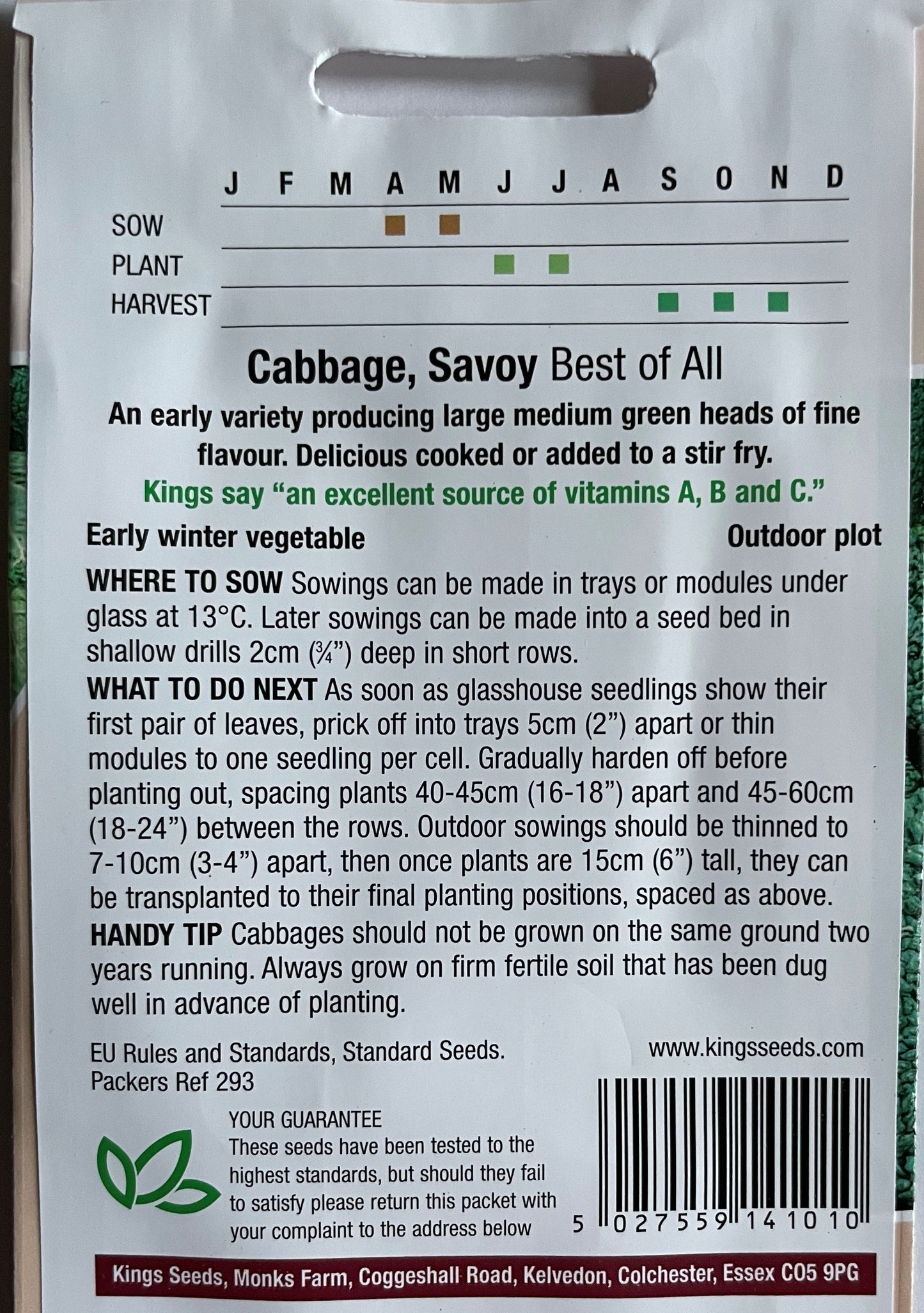 Cabbage Savoy Best of All 500 Seeds