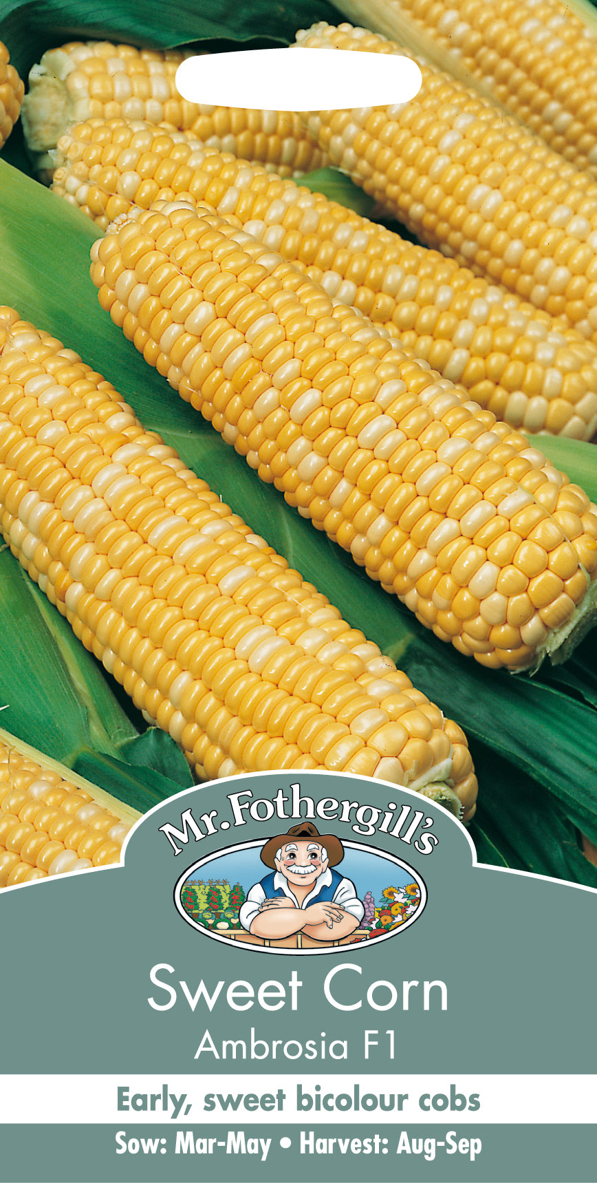 Sweet Corn Ambrosia F1 35 Seeds – Meldon Seeds