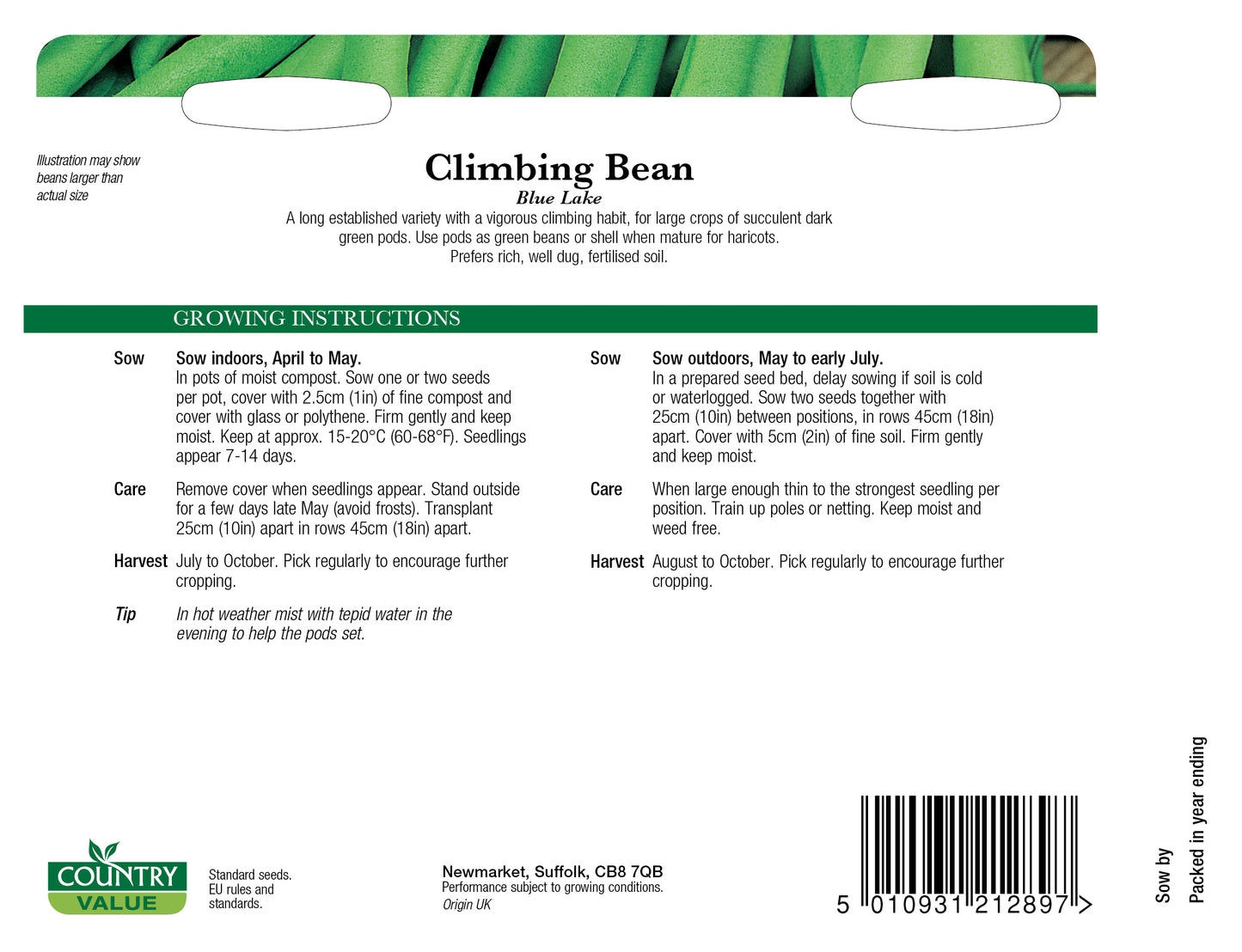 Climbing French Bean Blue Lake 50 Seeds