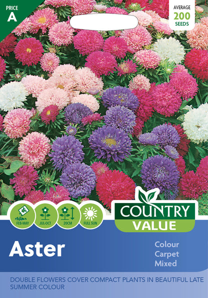 Aster Colour Carpet Mixed 200 Seeds