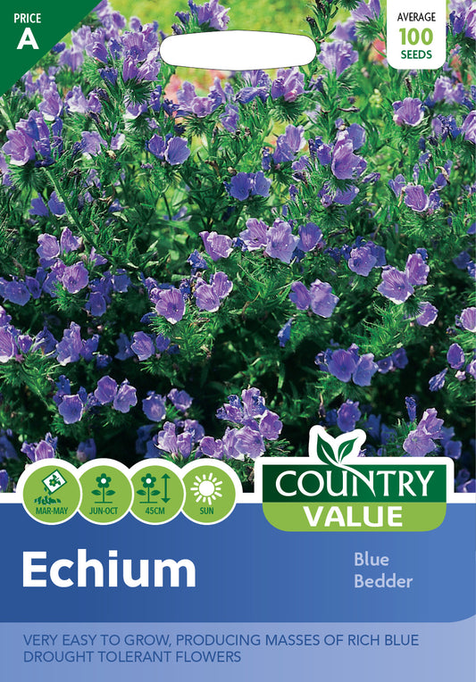 Echium Blue Bedder 100 Seeds