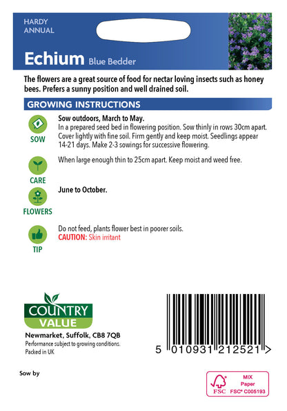 Echium Blue Bedder 100 Seeds