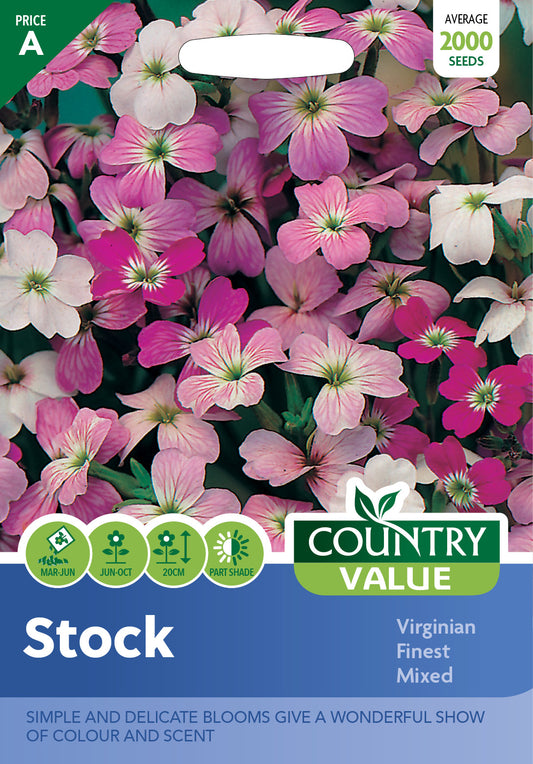 Stock Virginian Finest Mixed 2000 Seeds