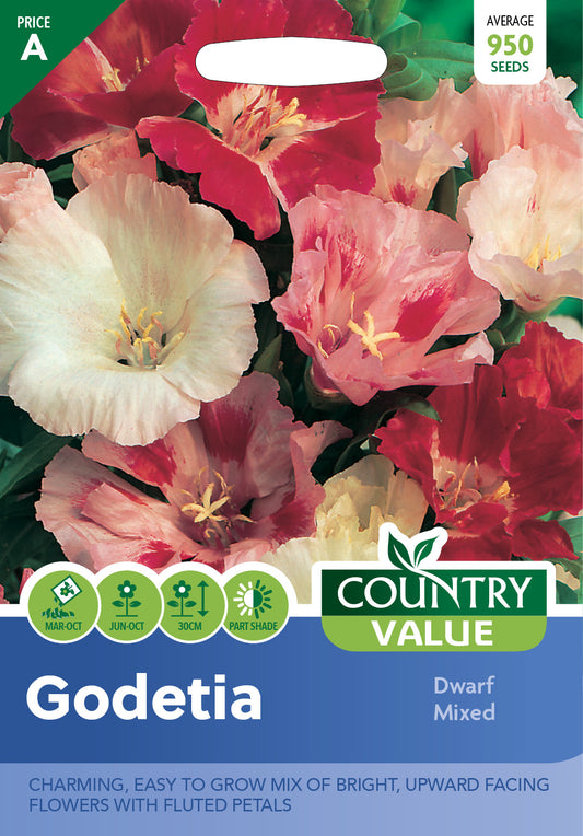 Godetia Dwarf Mixed 950 Seeds