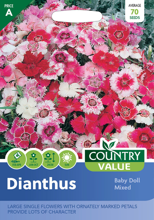 Dianthus Baby Doll Mixed 70 Seeds