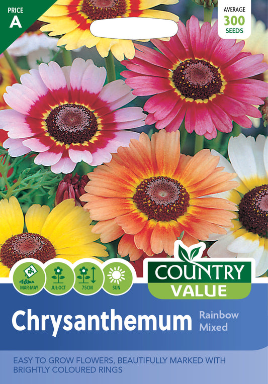 Chrysanthemum Rainbow Mixed 300 Seeds