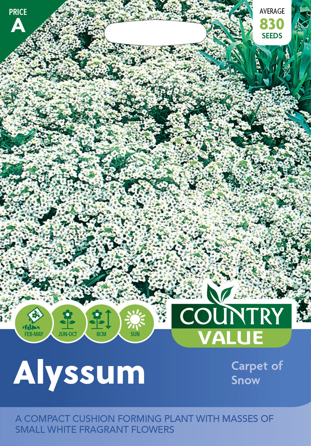 Alyssum Carpet Of Snow 830 Seeds
