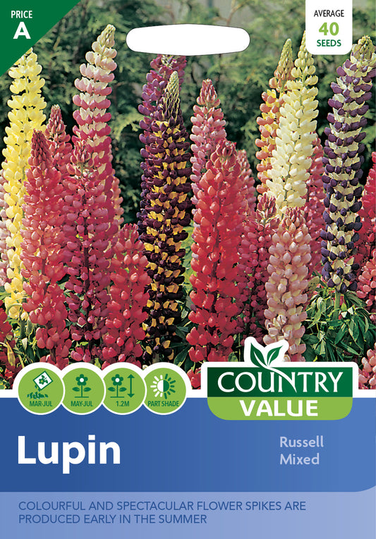 Lupin Russell Mixed 40 Seeds