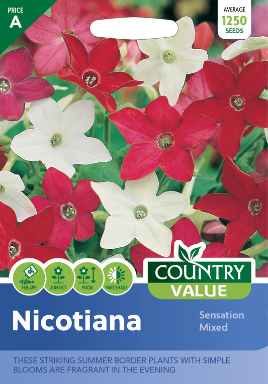 Nicotiana Sensation Mixed 1250 Seeds
