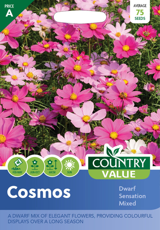Cosmos Dwarf Sensation Mixed 75 Seeds