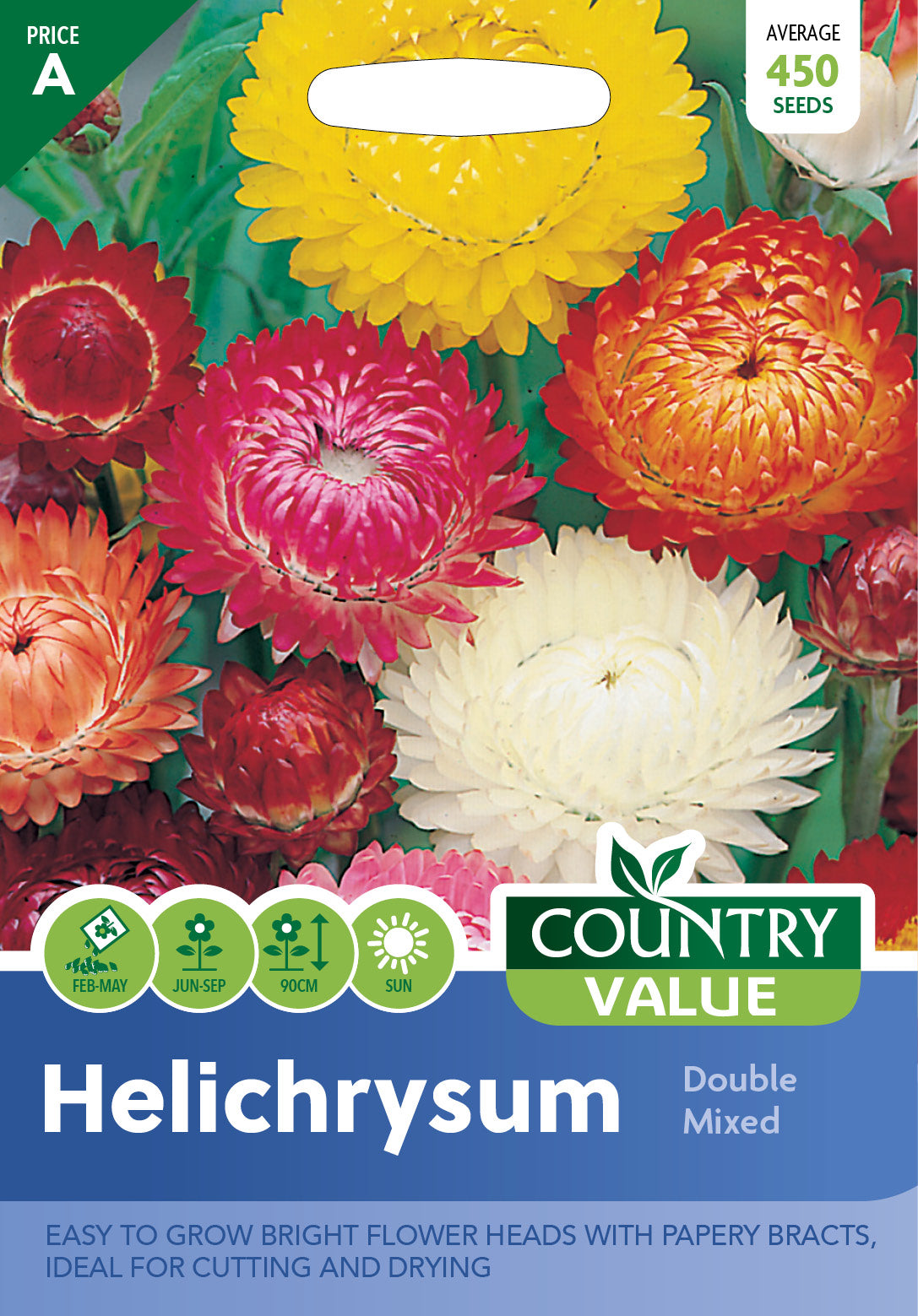 Helichrysum Double Mixed 450 Seeds