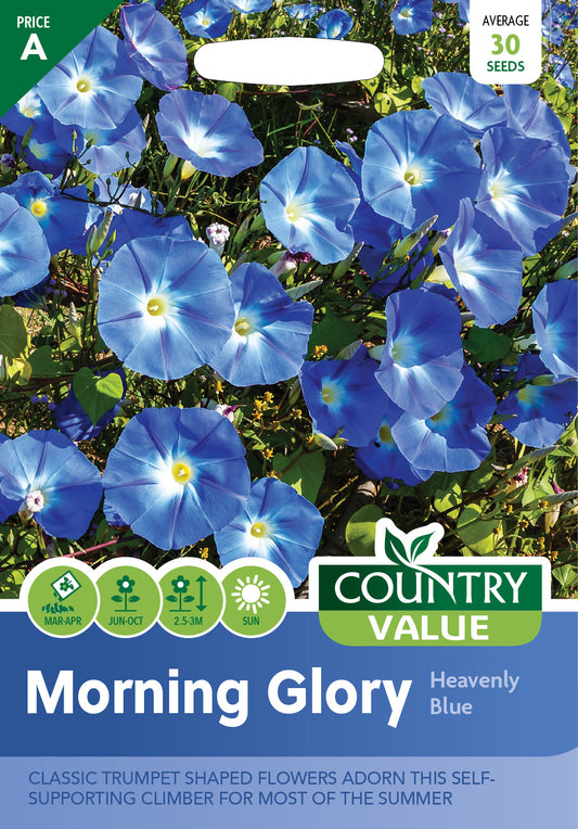 Morning Glory Heavenly Blue 30 Seeds