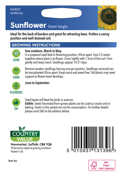 Sunflower Giant Single 50 Seeds