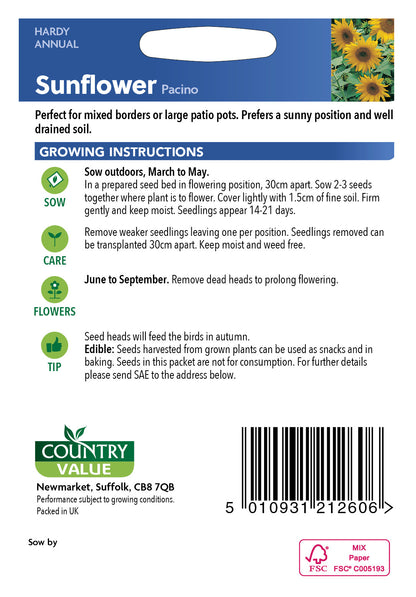 Sunflower Pacino 15 Seeds