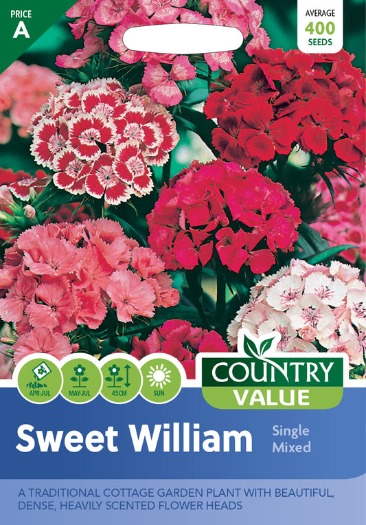 Sweet William Single Mixed 400 Seeds