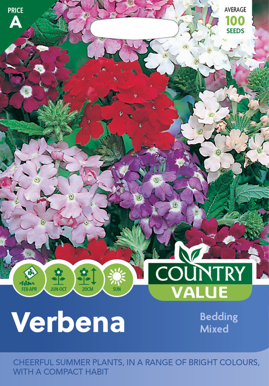 Verbena Bedding Mixed 100 Seeds