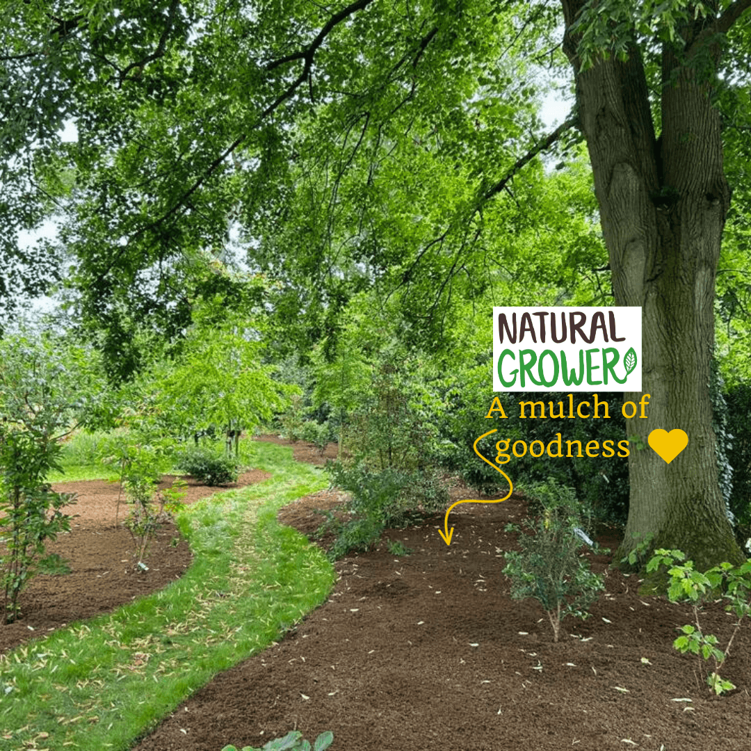 Natural Plant Feed 50L Bag