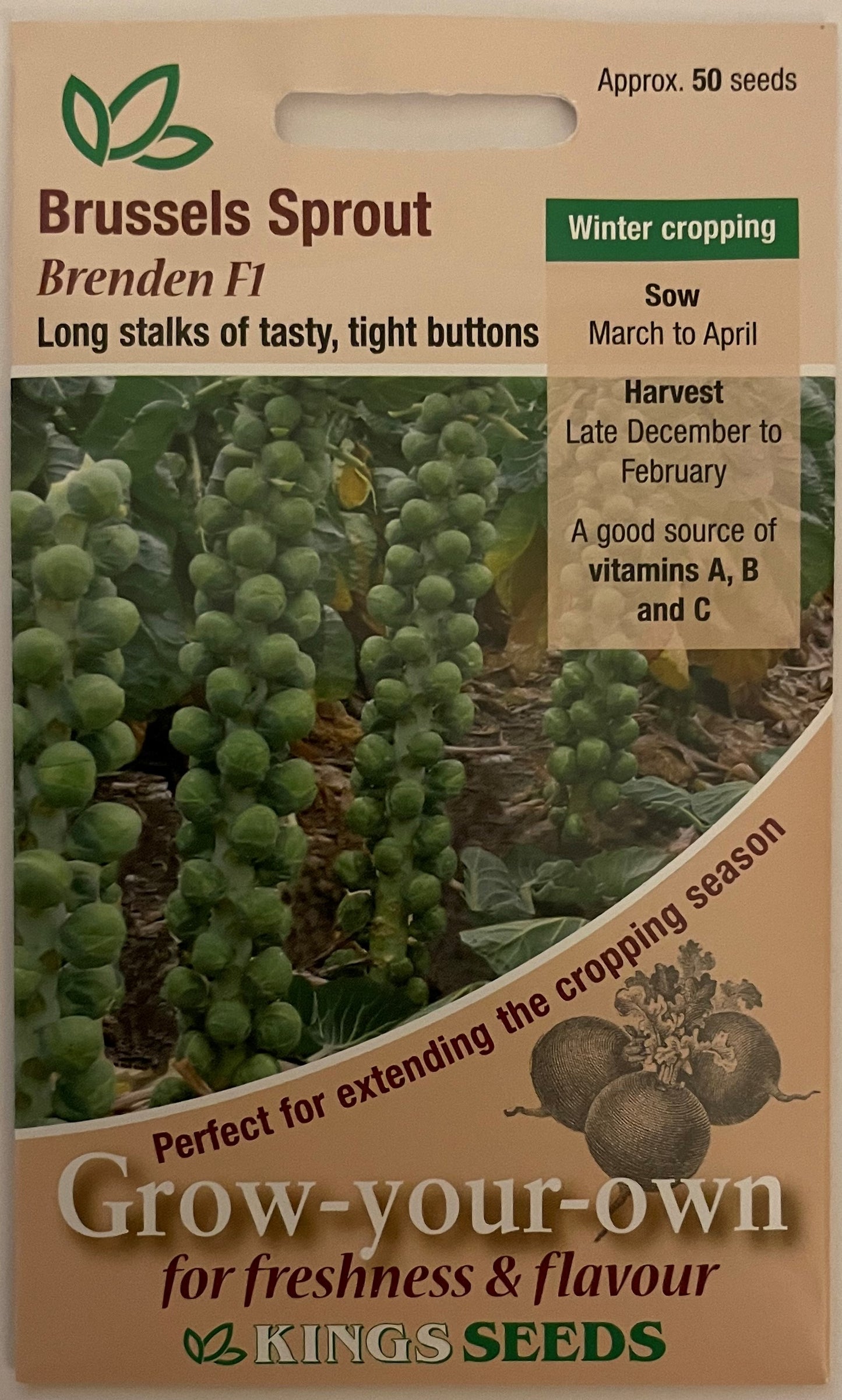 Brussels Sprout Brenden F1 50 Seeds