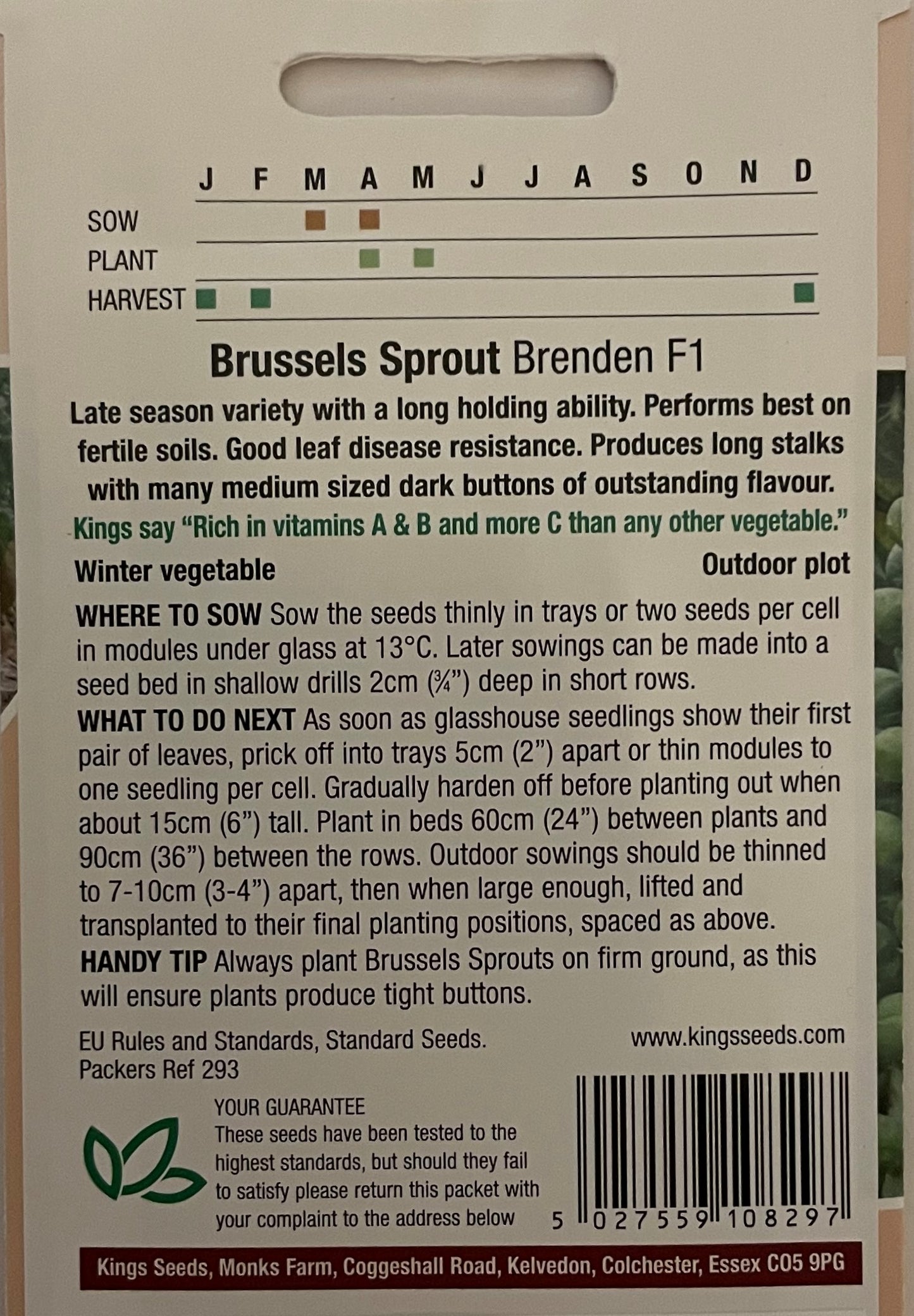 Brussels Sprout Brenden F1 50 Seeds