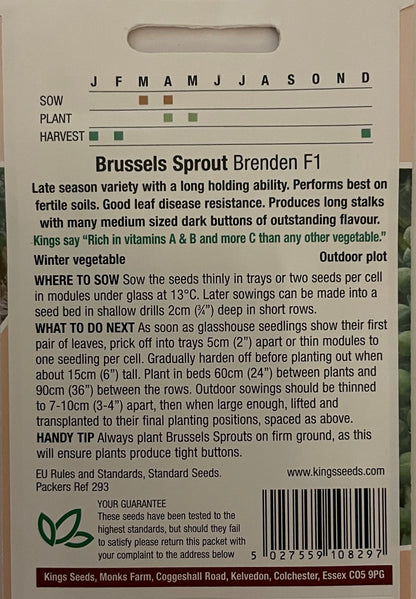 Brussels Sprout Brenden F1 50 Seeds