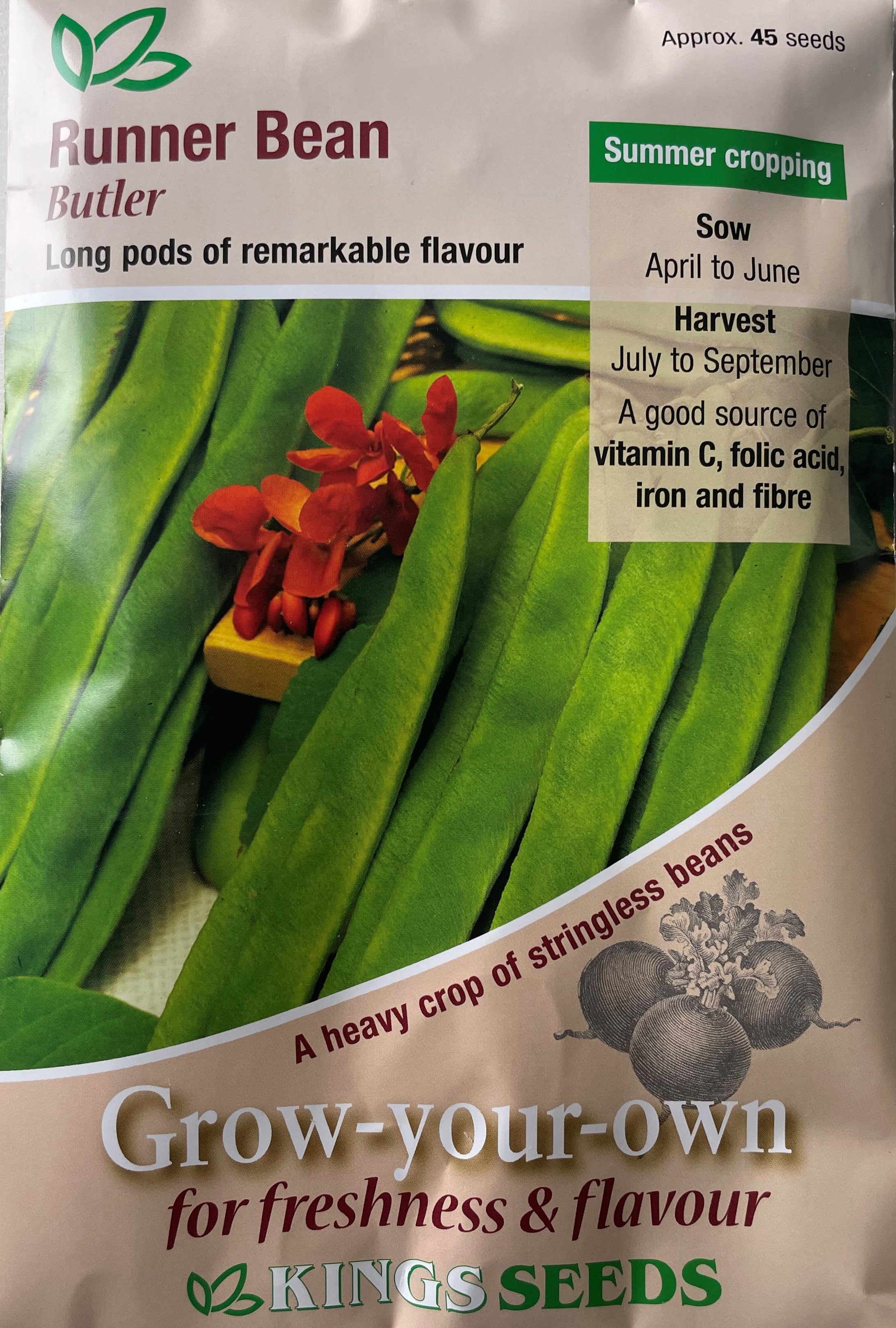 Runner Bean Butler Stringless 45 Seeds – Meldon Seeds