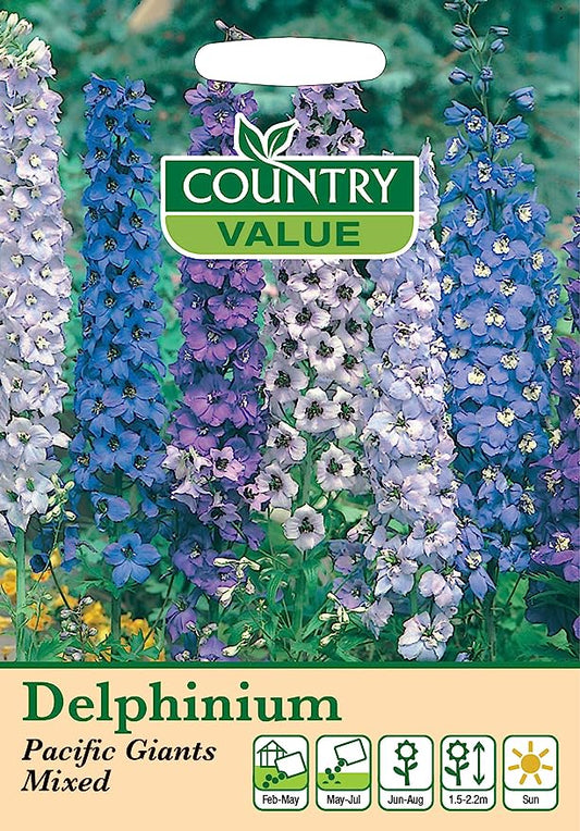 Delphinium Pacific Giants Mixed 60 Seeds