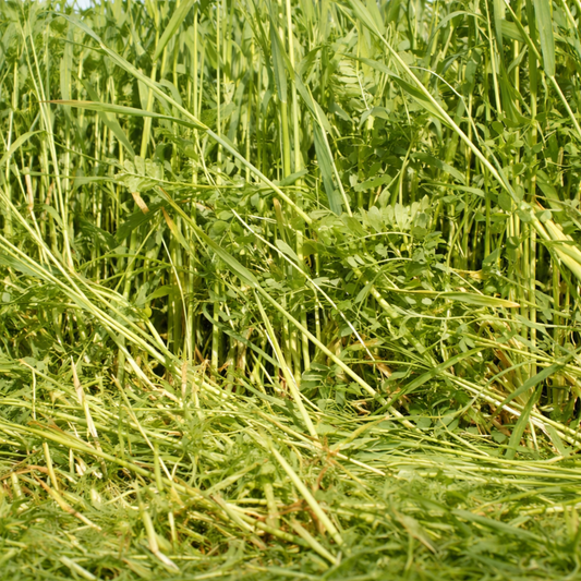 Rye and Vetch Green Manure Seed Mix - 1kg