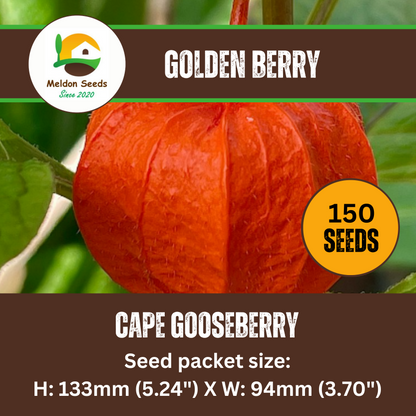 Cape Gooseberry Seeds Golden Berry Physalis - 150 Fresh Oriental Vegetable Seeds