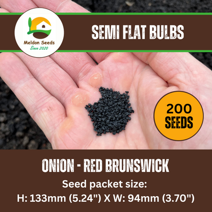 Onion Seeds Red Brunswick 200 Fresh Vegetable Seeds