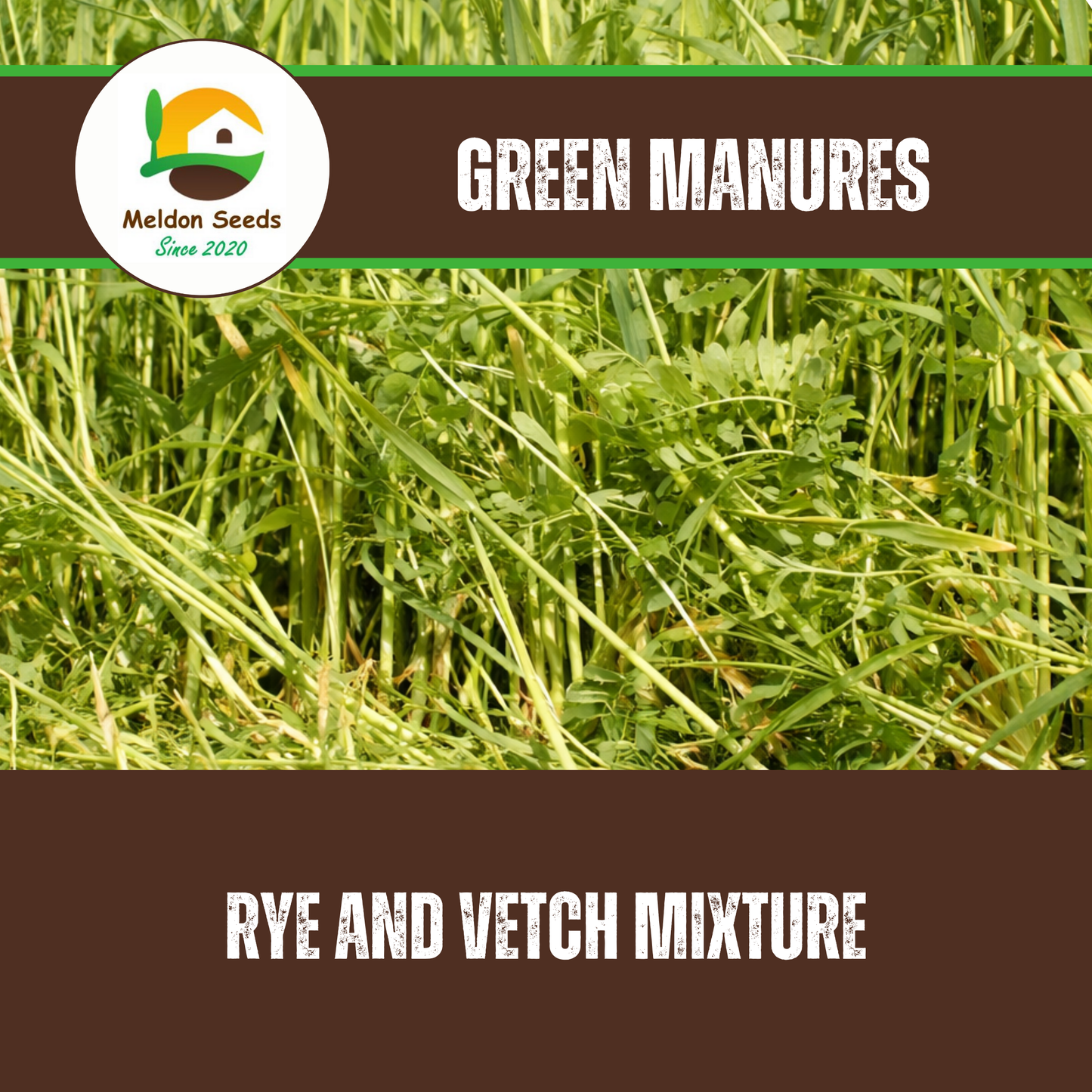 Rye and Vetch Green Manure Seed Mix - 1kg