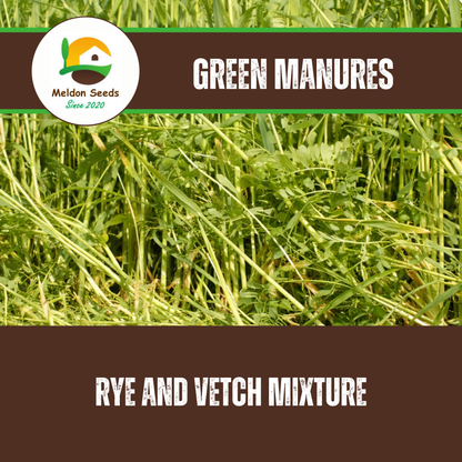 Rye and Vetch Green Manure Seed Mix - 1kg