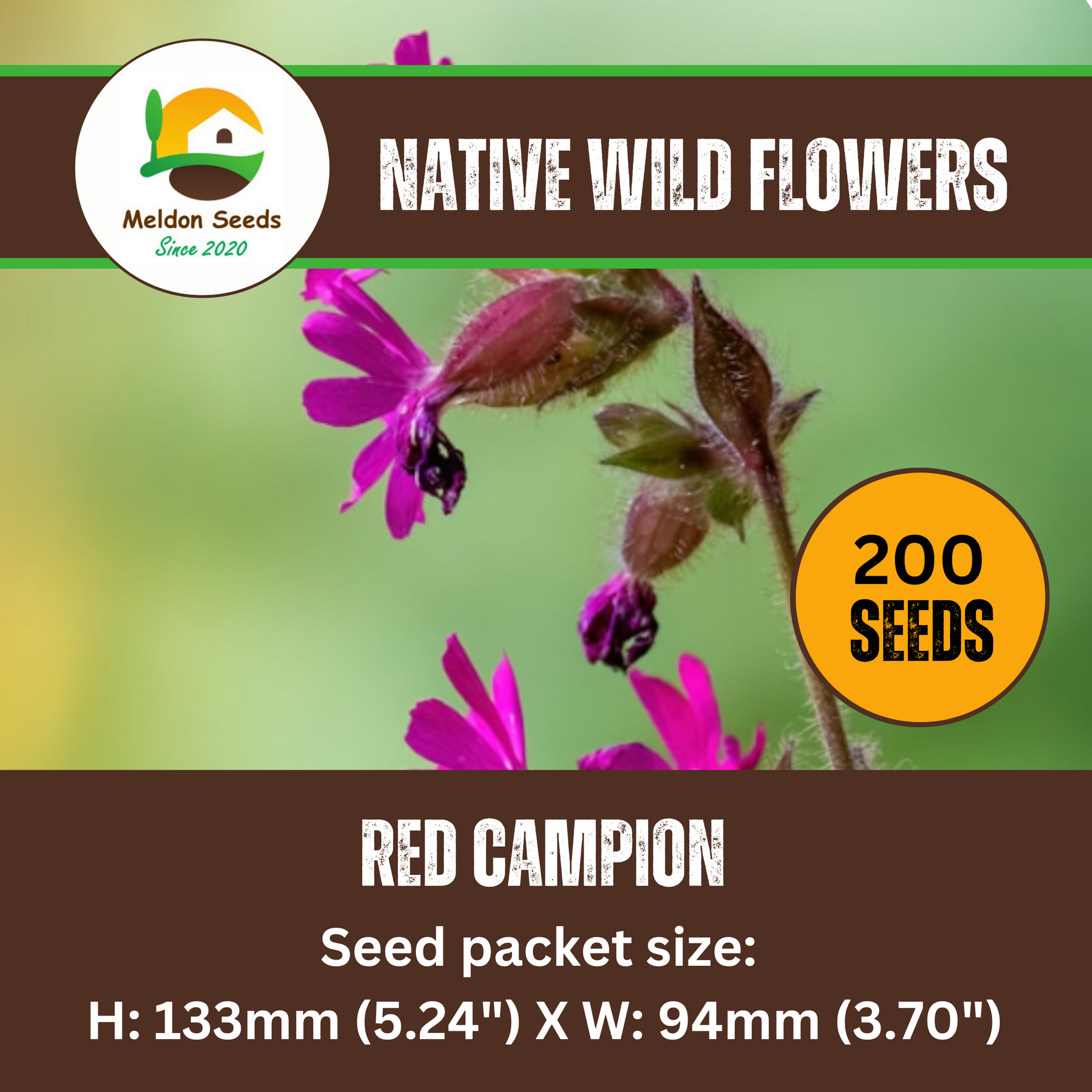 champion flower seed Red Campion Seeds
