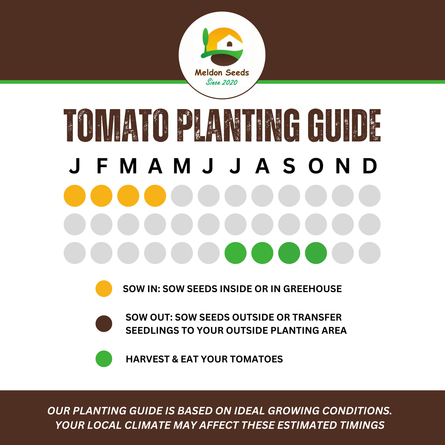 Tomato Moneymaker 10 Seeds