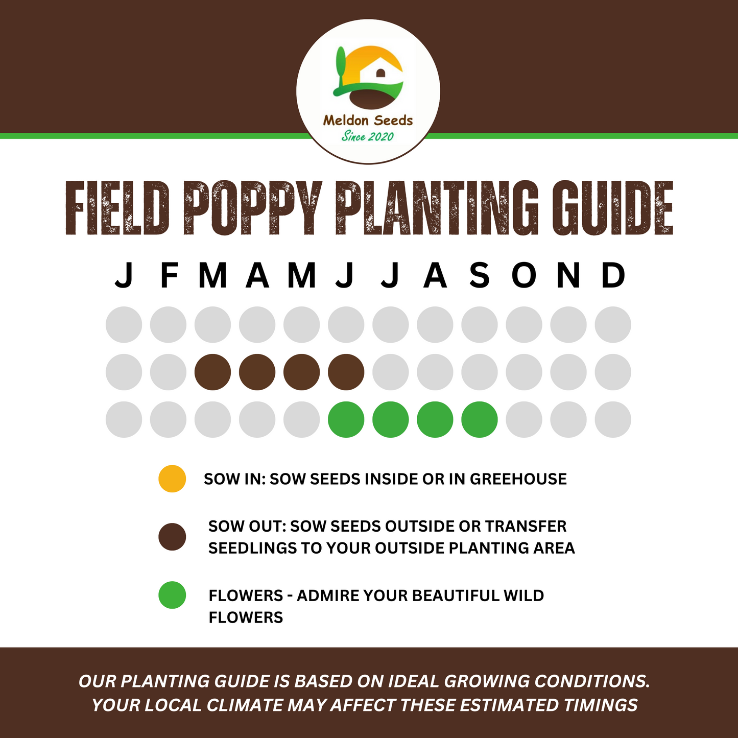 poppy seeds planting guide Red Field Poppy Seeds