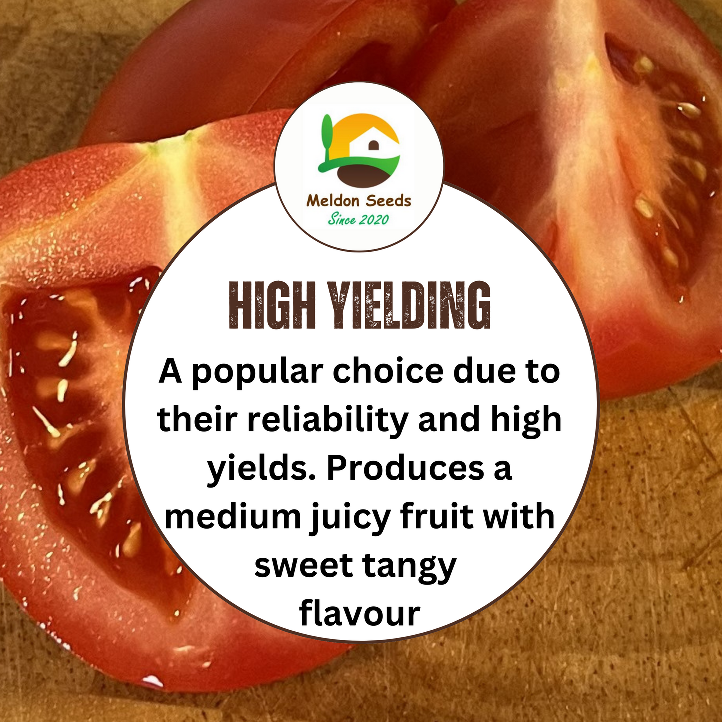 Tomato Moneymaker 10 Seeds