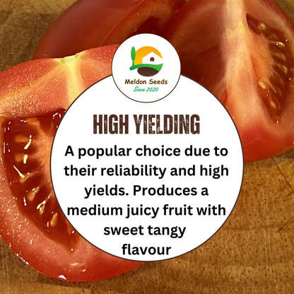 Tomato Moneymaker 10 Seeds
