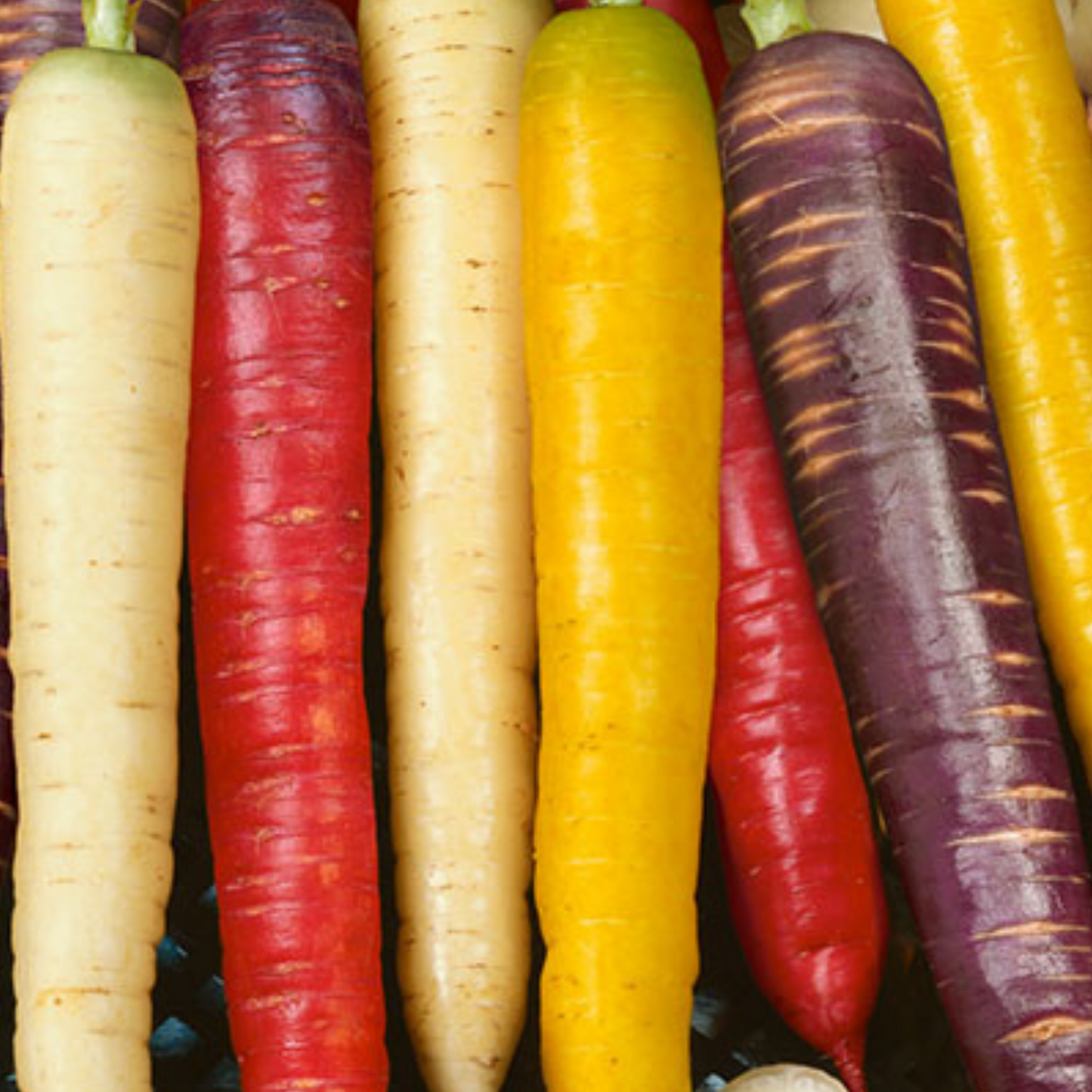 Rainbow Vegetables Collection. 5 Colourful Vegetable Varieties.