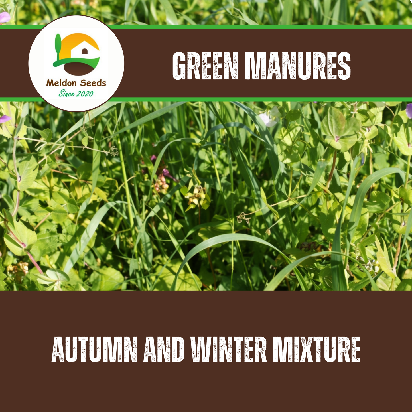 Meldon Seeds – Autumn and Winter Green Manure Mix - 1kg