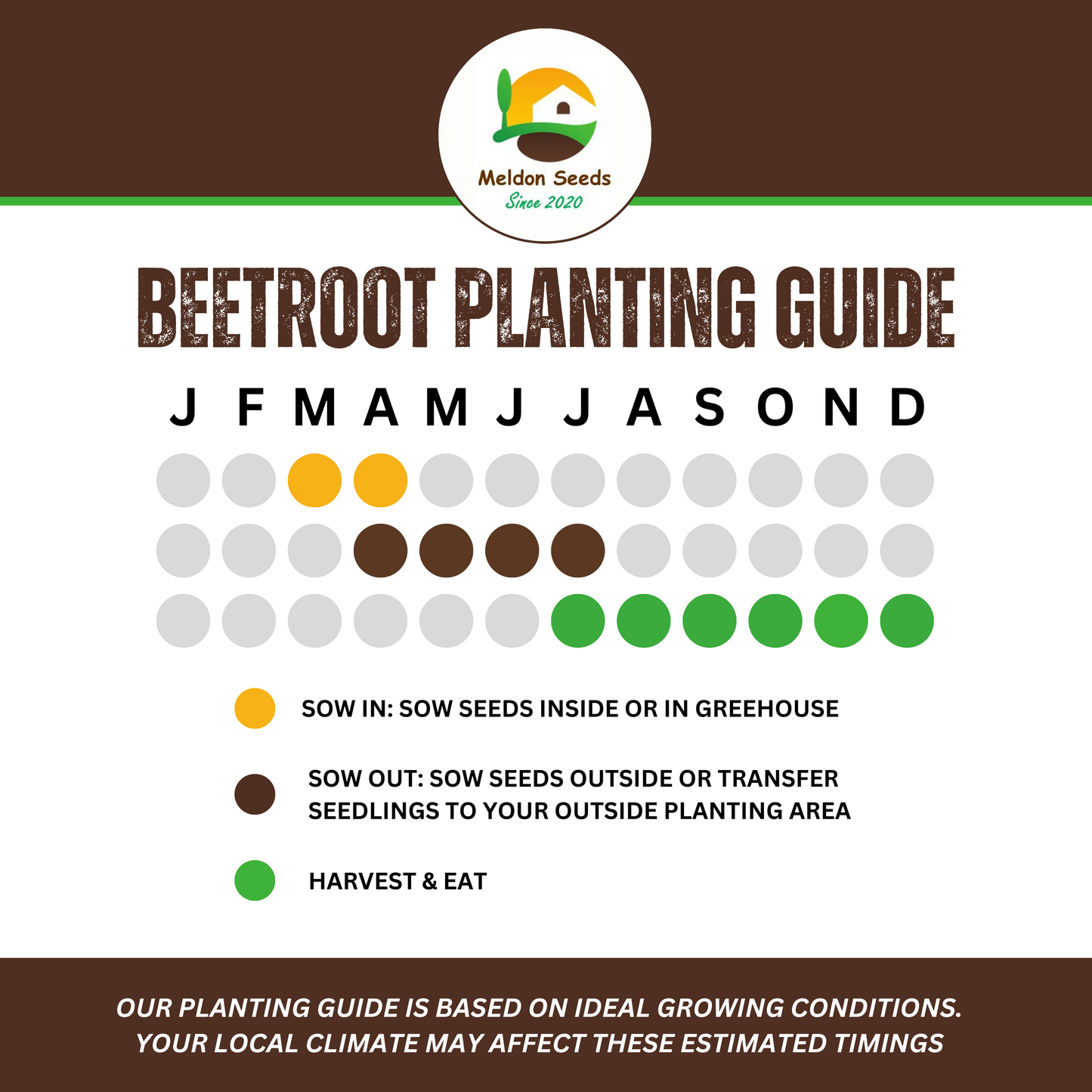 Vegetables Garden Starter Collection. 6 Easy to Grow Vegetable Varieties