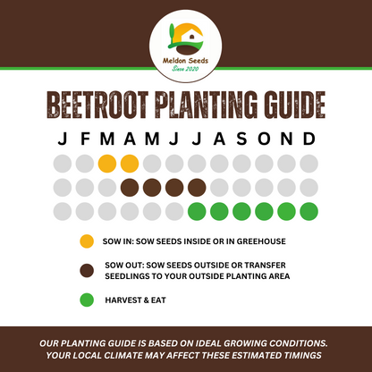 Vegetables Garden Starter Collection. 6 Easy to Grow Vegetable Varieties