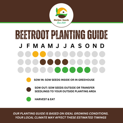 Rainbow Vegetables Collection. 5 Colourful Vegetable Varieties.