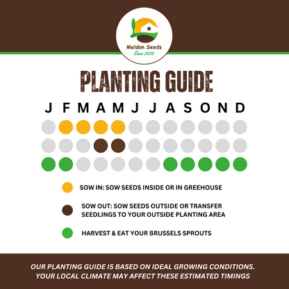 Winter Hardy Vegetable Collection. 6 Easy to Grow Hardy Vegetable Varieties